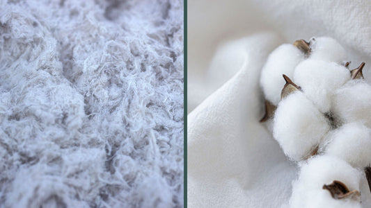 Bambou VS Coton